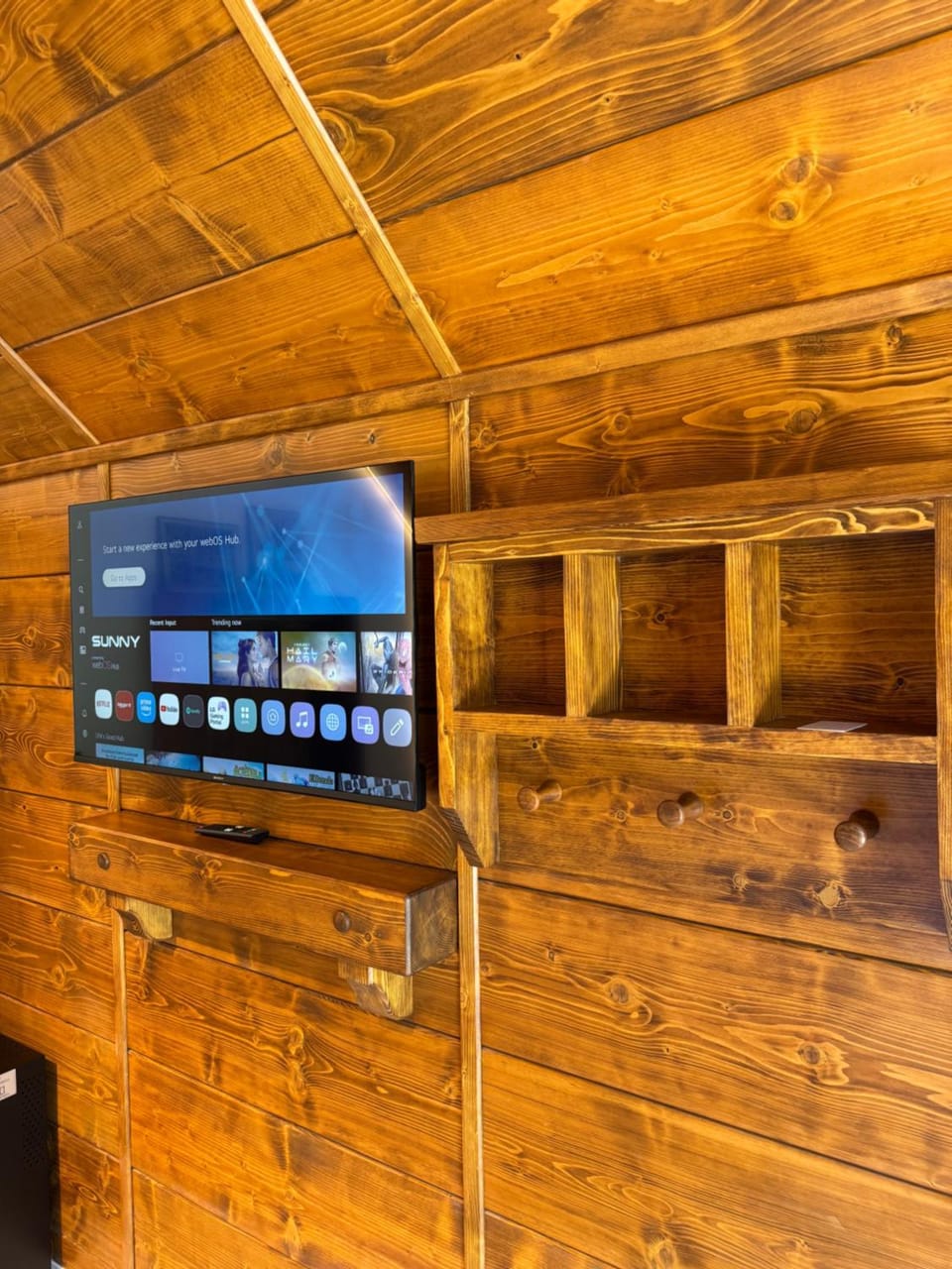TV and multimedia
