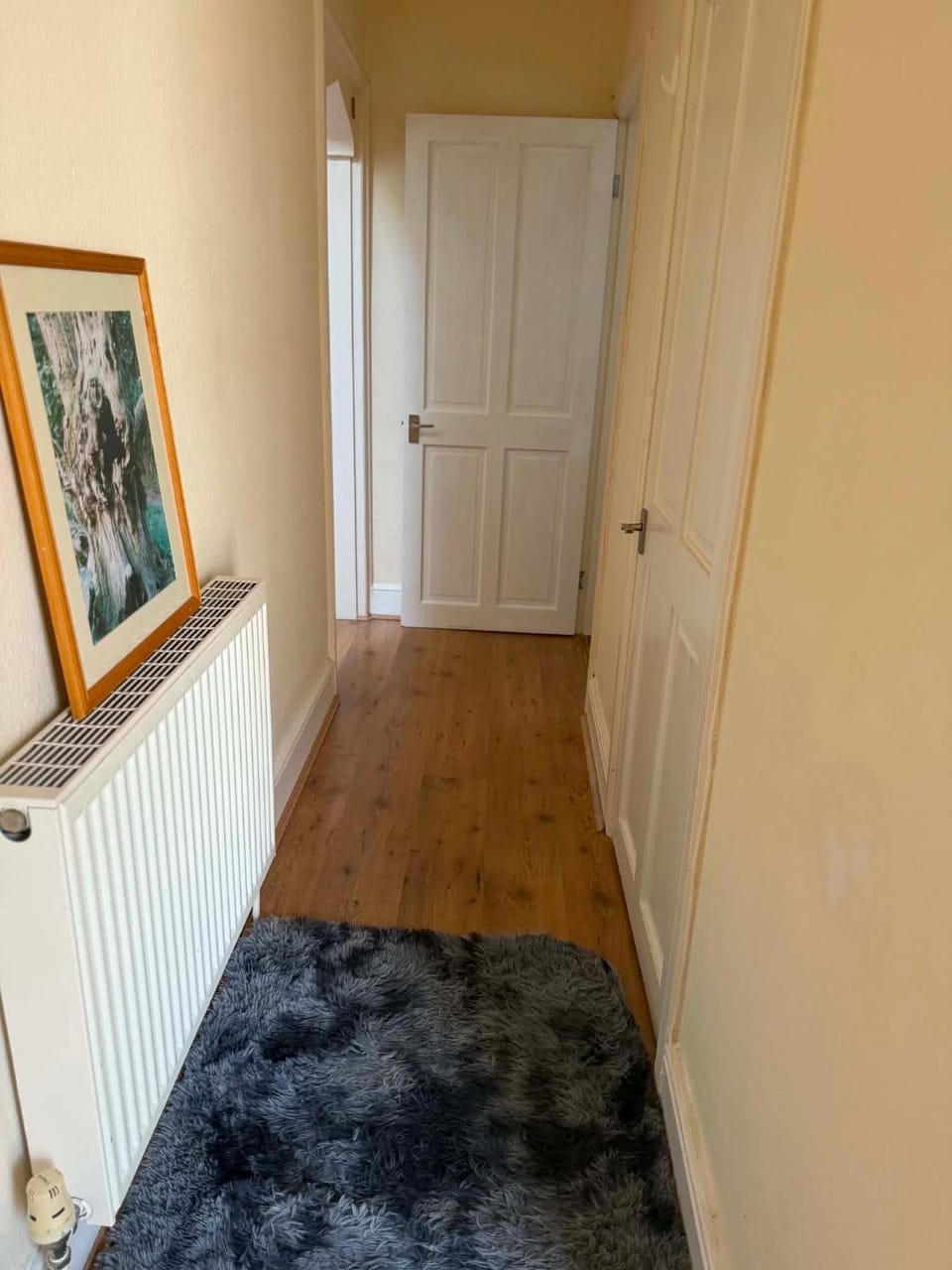 2 bedroom flat in barmouth Apartment in Barmouth