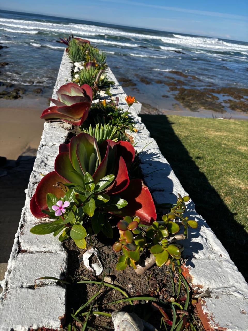 Spring, Natural landscape, Beach, Sea view