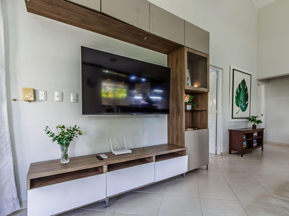 TV and multimedia