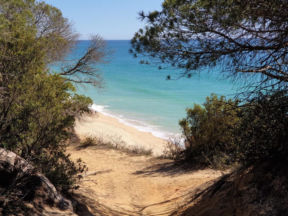 Natural landscape, Beach