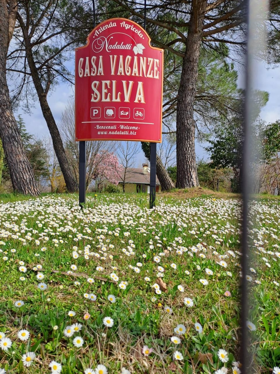 Casa Vacanze Selva House in Friuli-Venezia Giulia