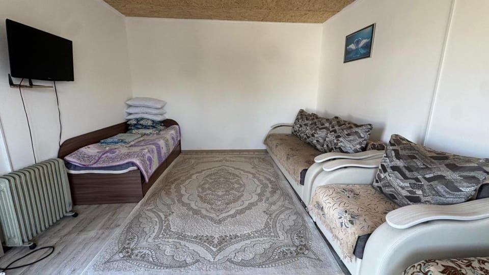 Домики House in Kazakhstan