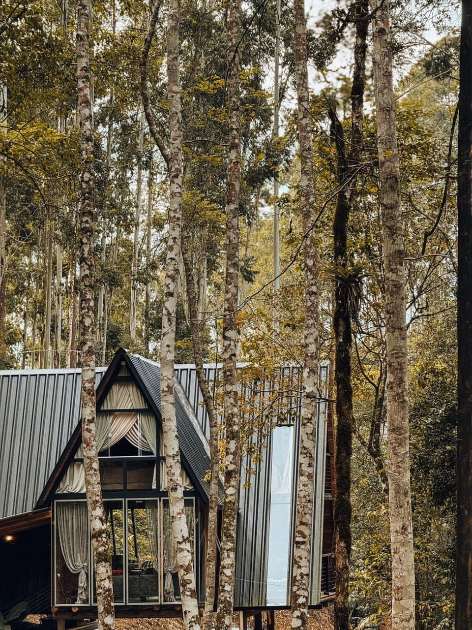 Chalé Morada das Cachoeirras Chalet in State of Santa Catarina