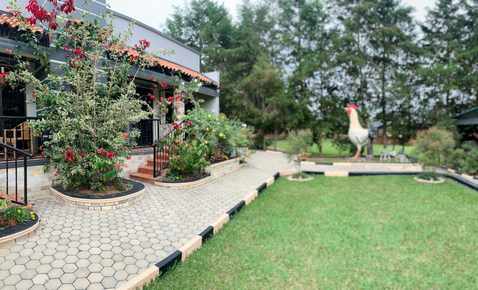 Nkokonjeru White Cove Bed and Breakfast in Uganda