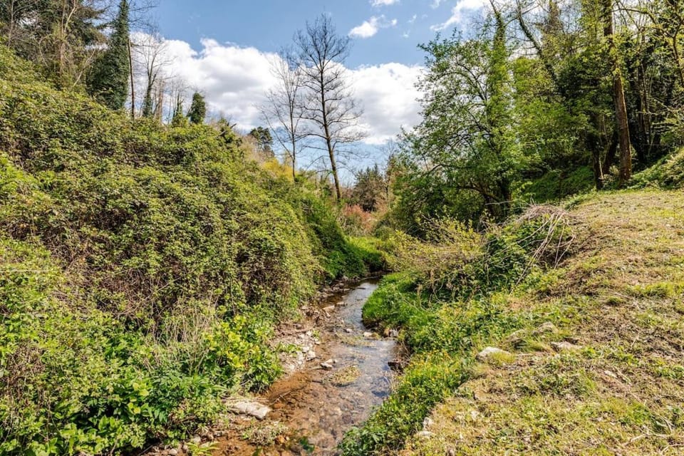 Natural landscape