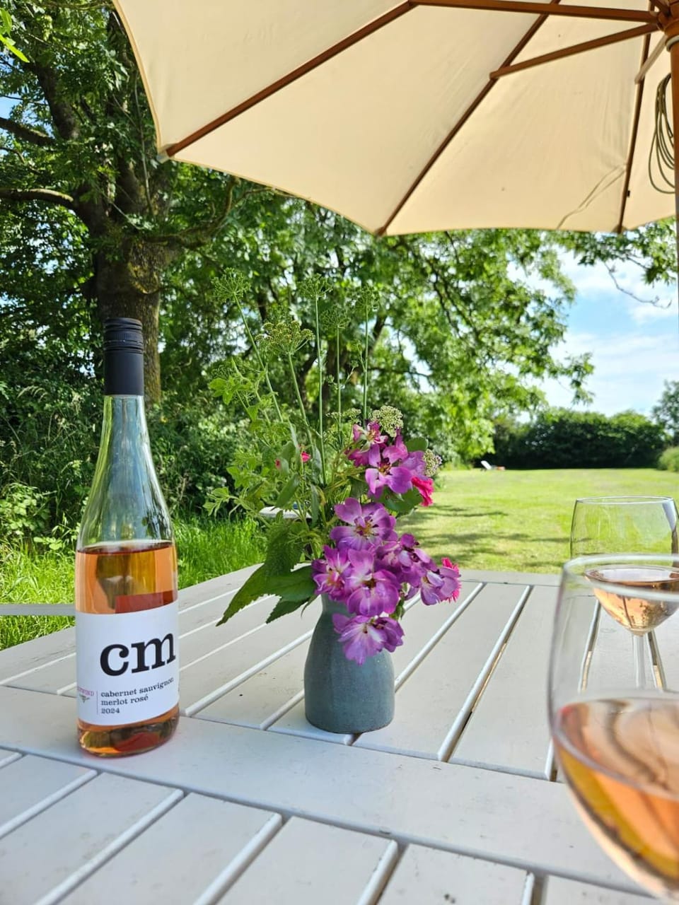 Spring, Garden, Drinks, Alcoholic drinks