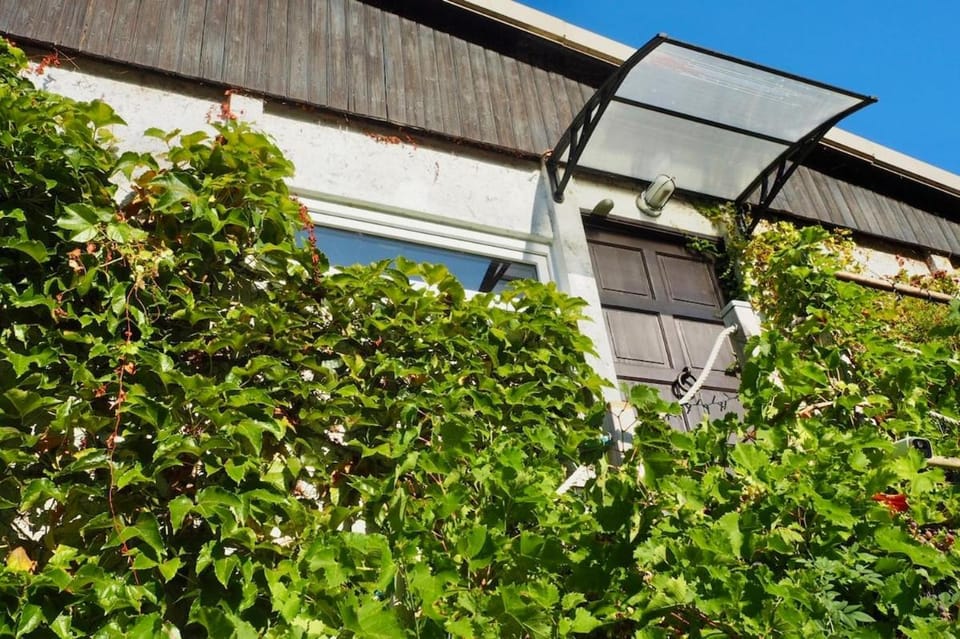 Jolie maison en bord de l'Yonne Apartment in Bourgogne-Franche-Comté