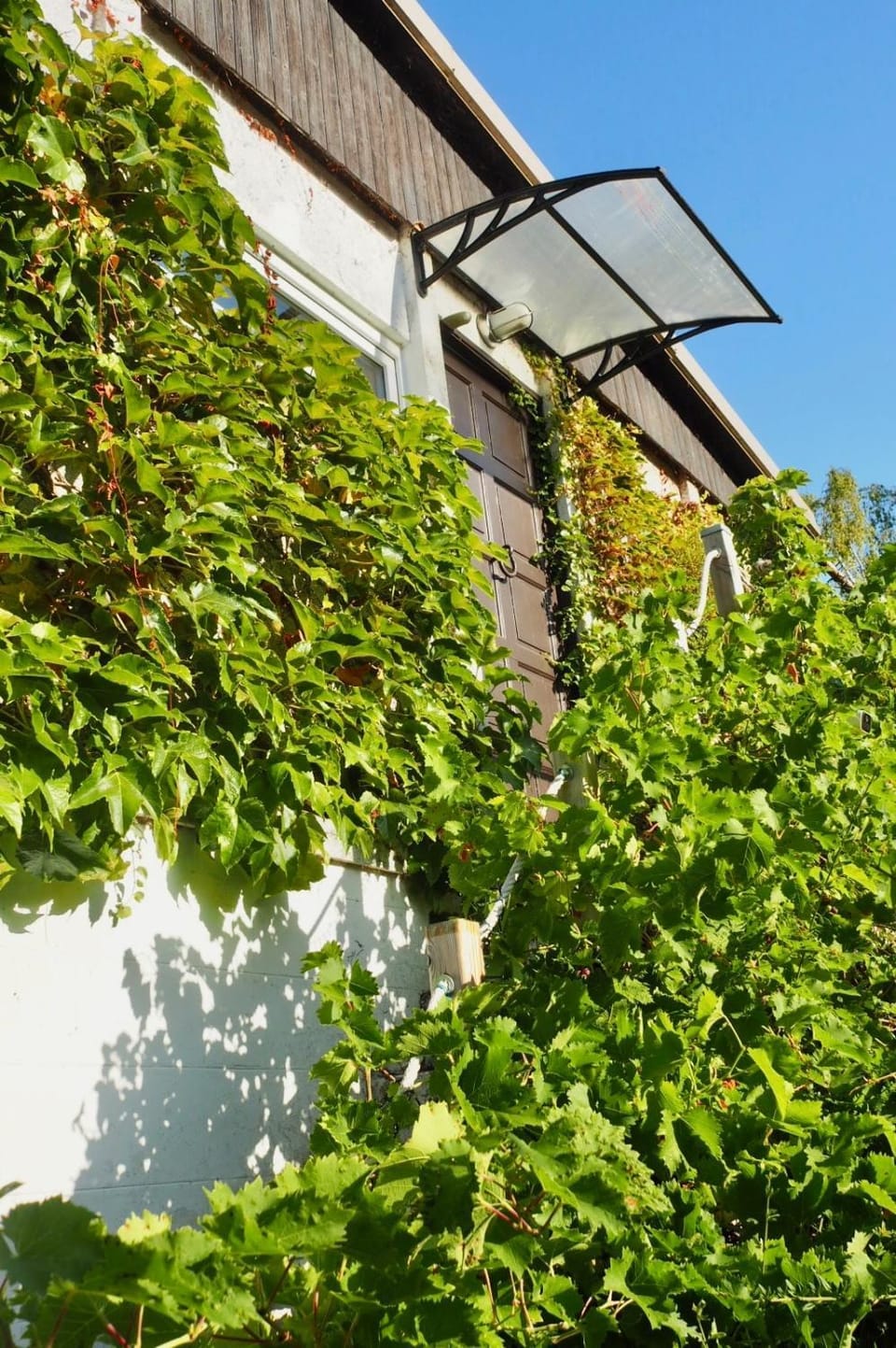 Jolie maison en bord de l'Yonne Apartment in Bourgogne-Franche-Comté