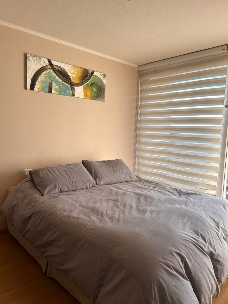 Departamento Trizano Apartment in Temuco
