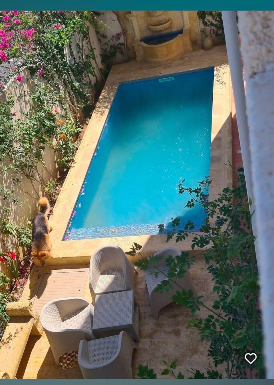 Pool view