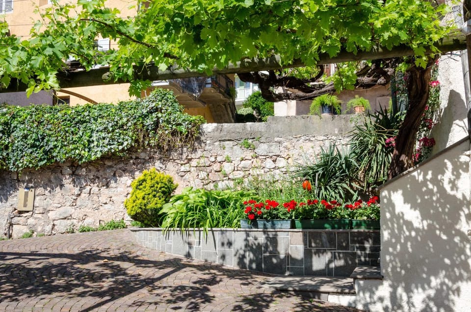 Patio, Day