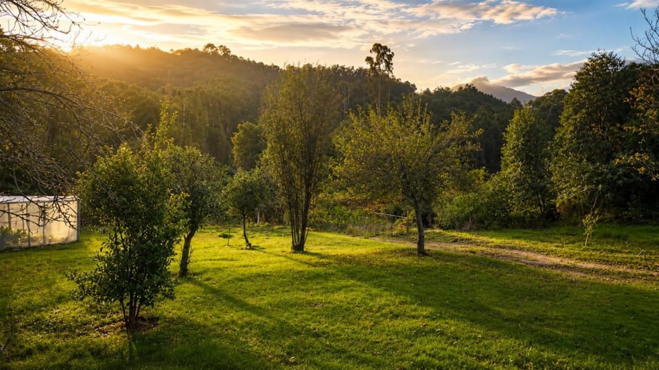 Natural landscape, Garden, Garden view, Mountain view, Sunrise, Sunset