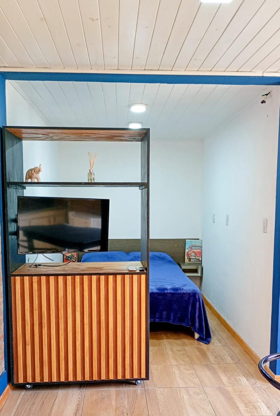 TV and multimedia