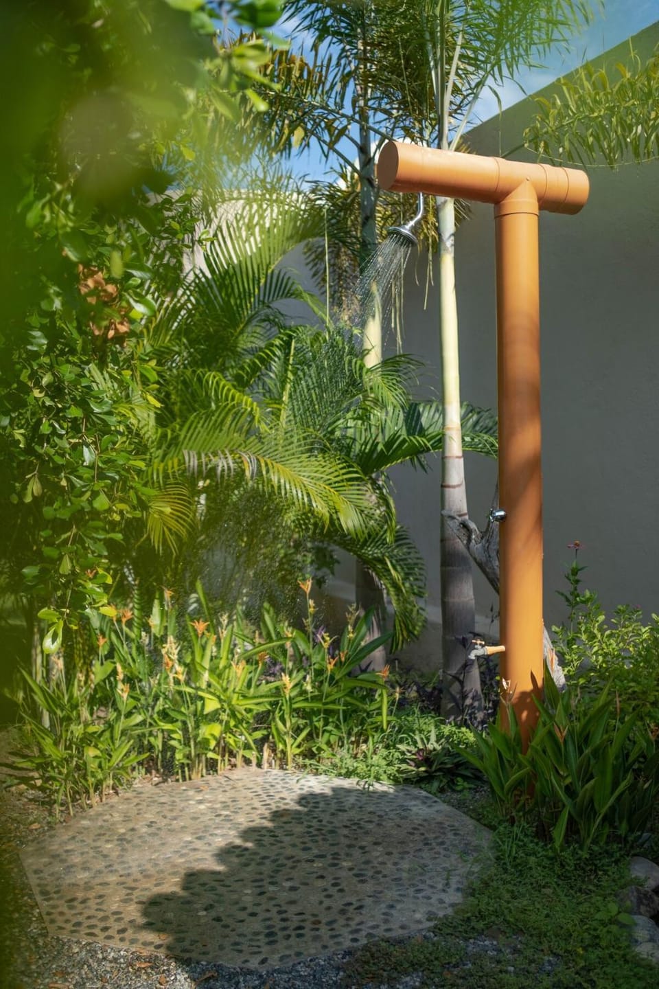 Spring, Day, Garden view