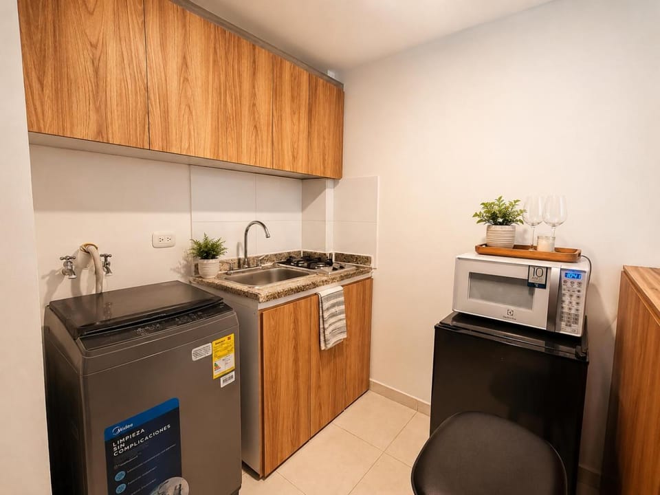 Kitchen or kitchenette, minibar, oven, stove