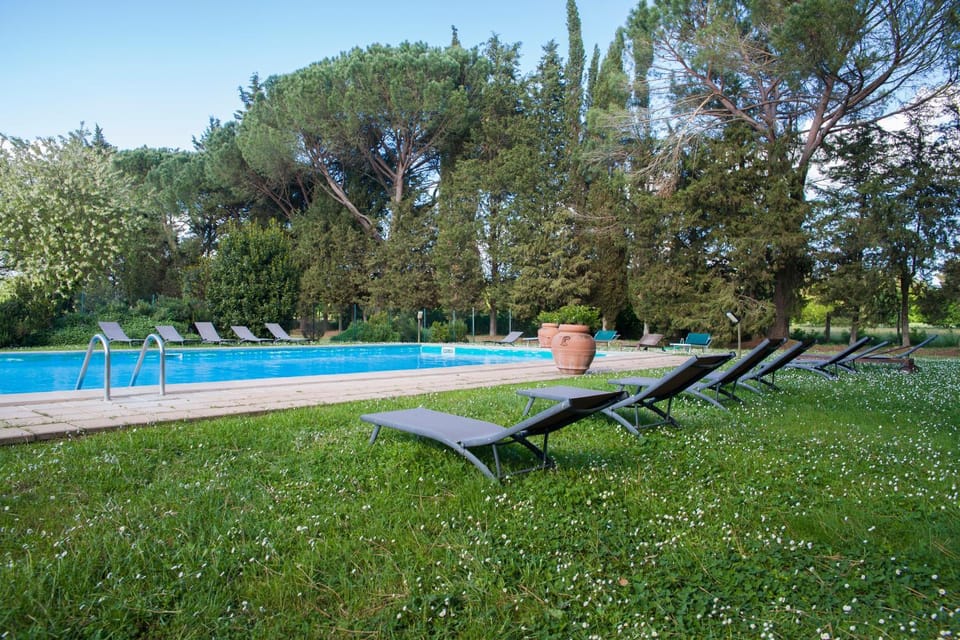 Natural landscape, Swimming pool, sunbed