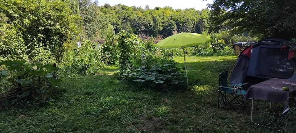 Tente Rosalie Campground/ 
RV Resort in Grand Est
