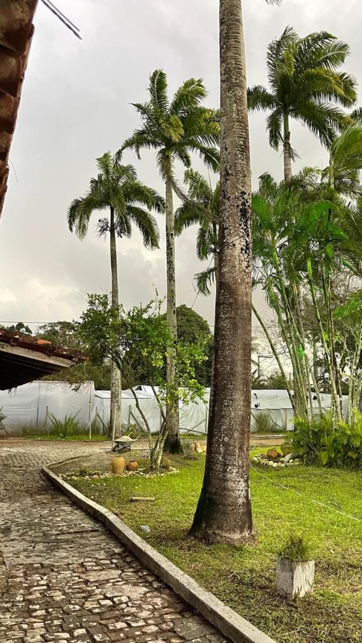 Brasilissimo hospedagem Hotel in State of Bahia