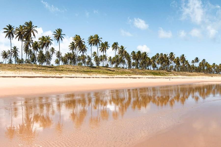 RioMar Temporada! Entre você e a natureza! Apartment in State of Sergipe, Brazil