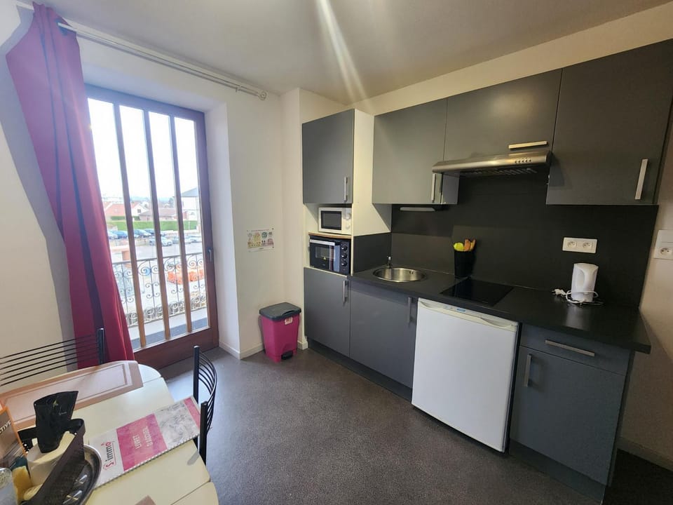 Appartement au cœur de la ville, animaux OK - FR-1-901-4 Apartment in Vosges