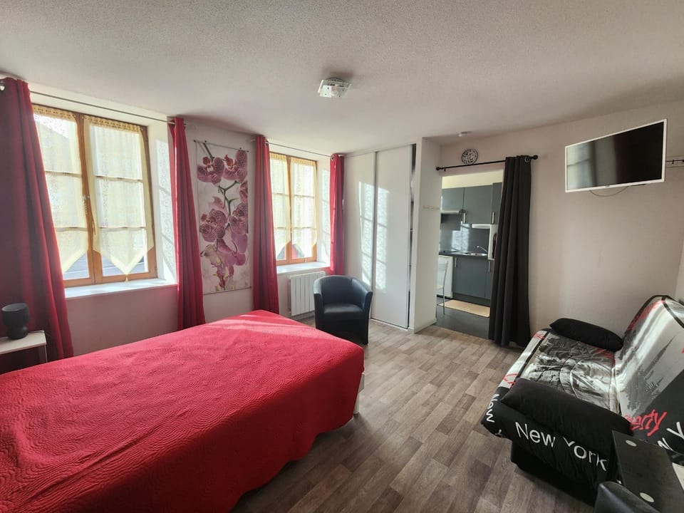 Appartement central, animaux OK - FR-1-901-17 Apartment in Vosges