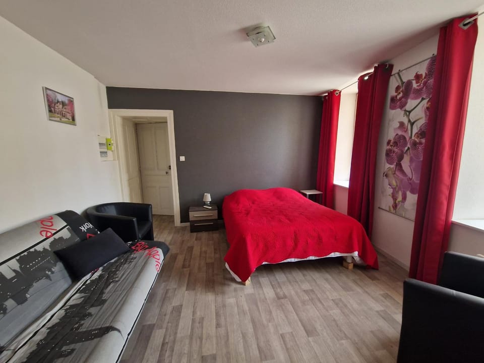Appartement central, animaux OK - FR-1-901-17 Apartment in Vosges