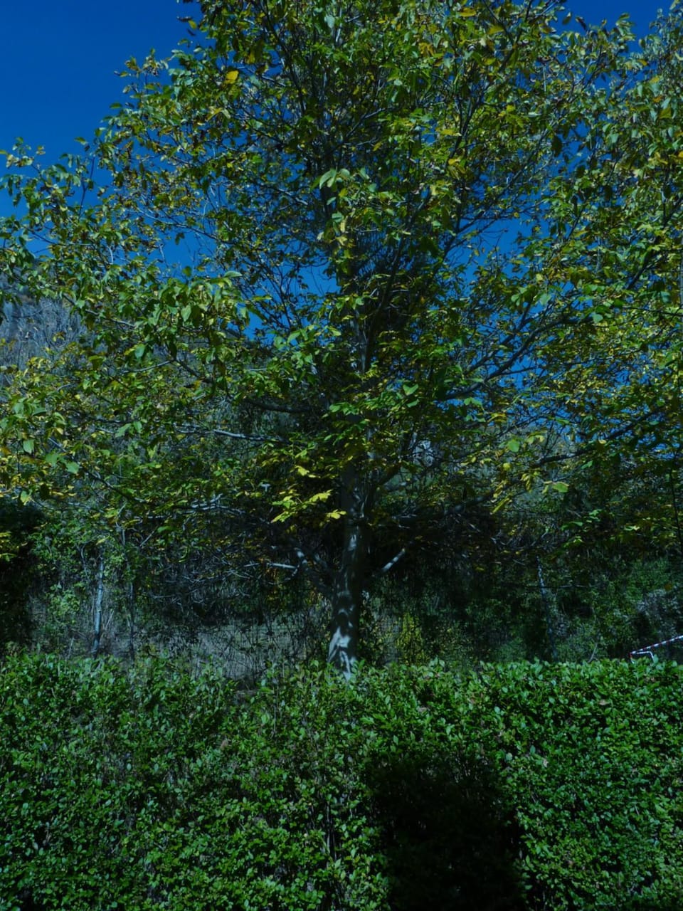 Hiking