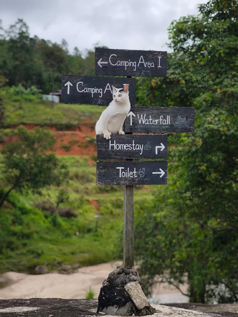 Le Cher campsite & homestay Farm Stay in Thailand