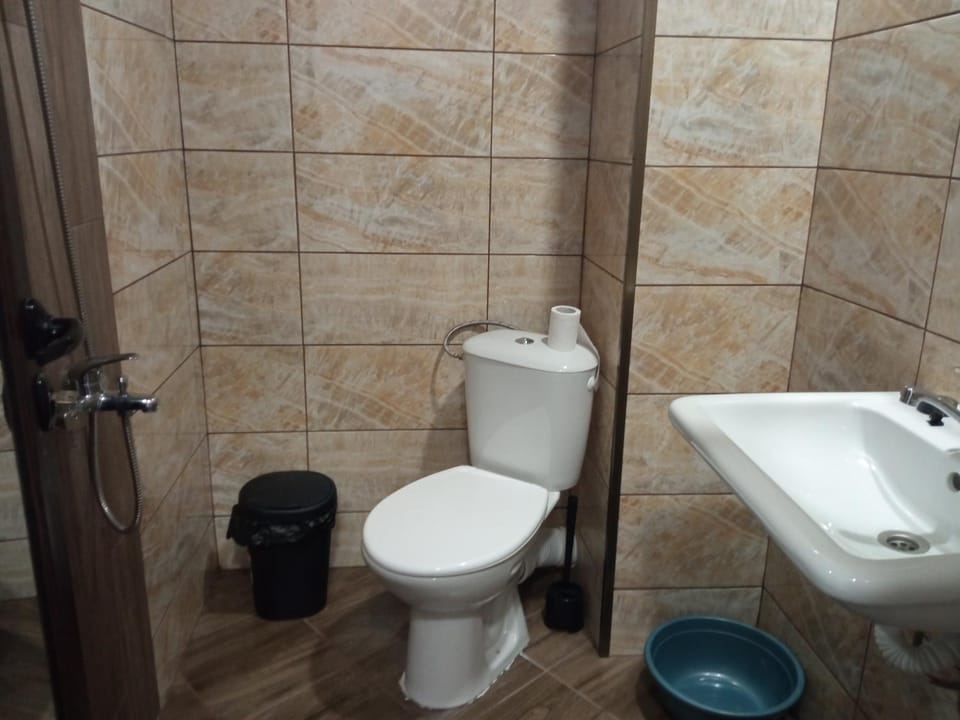 Toilet, Bathroom, bidet