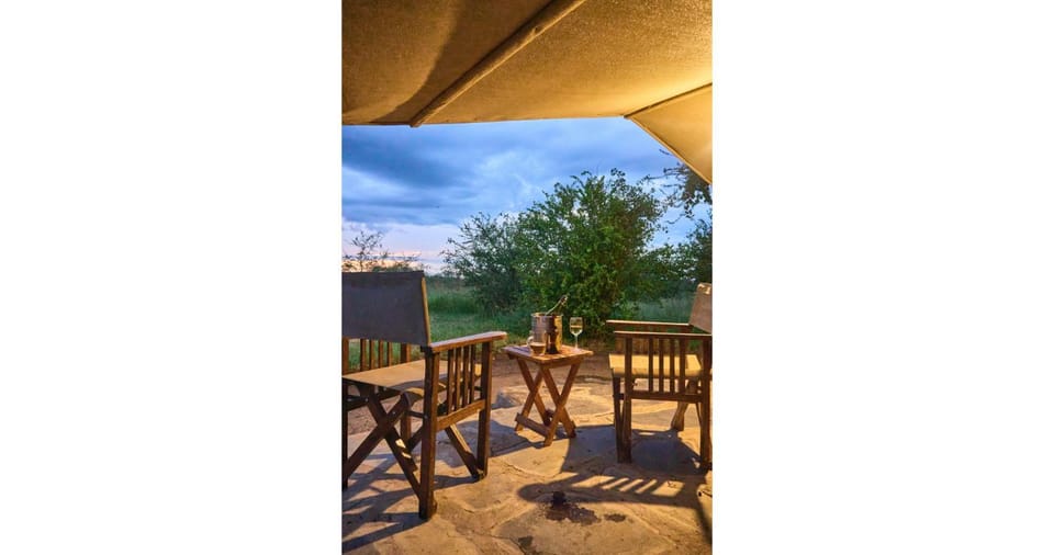Patio, Day, Balcony/Terrace