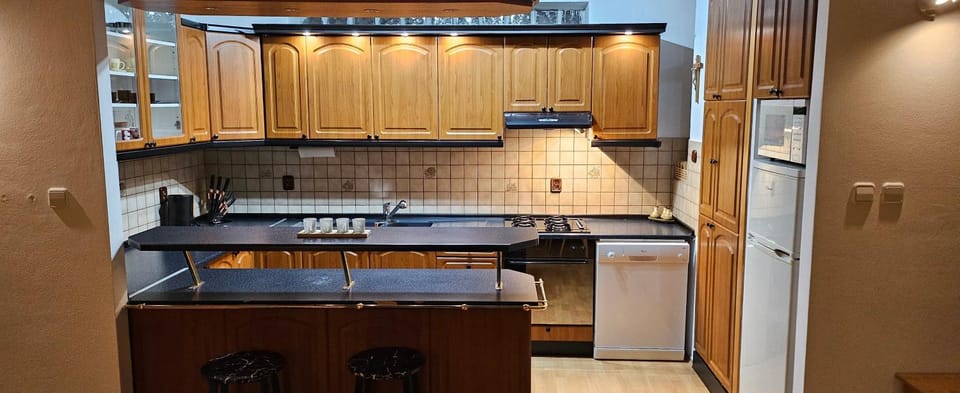 Kitchen or kitchenette, dishwasher, oven, stove