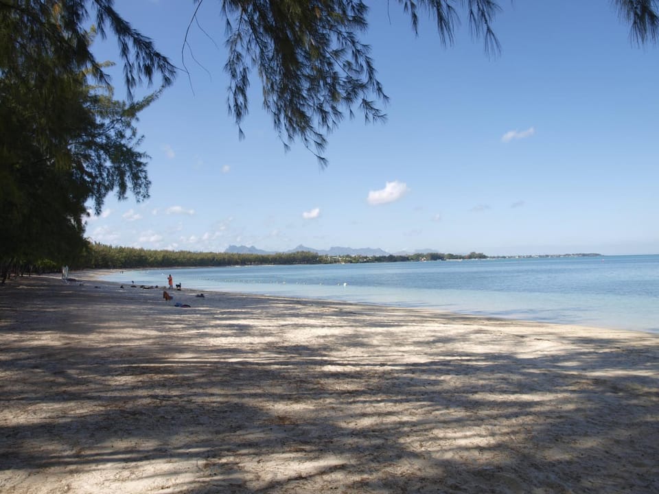 Heliconia Guesthouse Apartment in Grand Baie