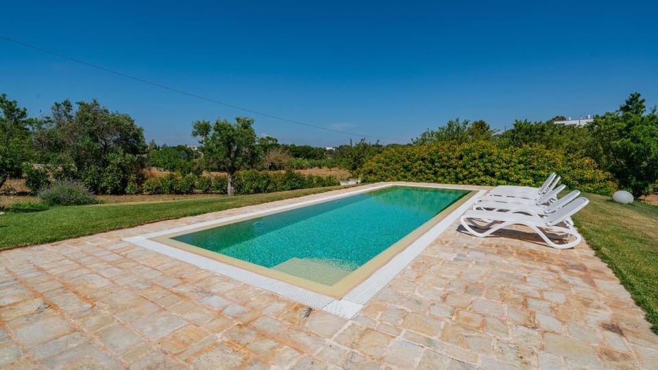 Garden, Swimming pool, sunbed