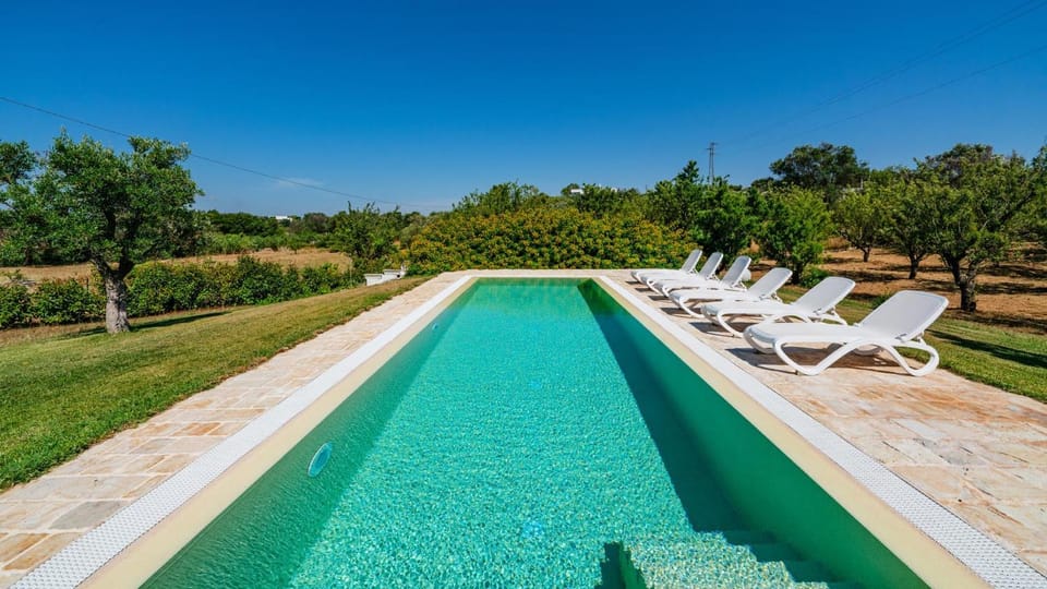 Spring, Garden, Swimming pool, sunbed