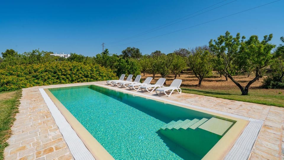 Spring, Day, Garden, Swimming pool