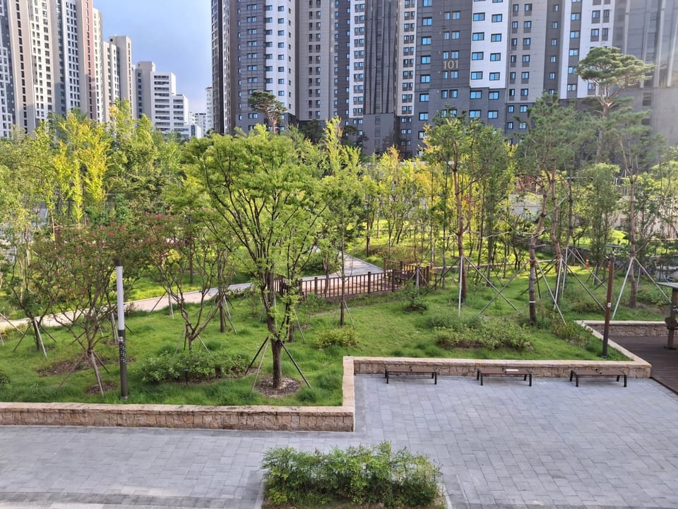 Garden view