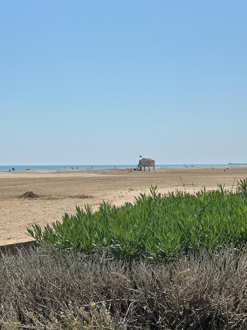 Garden, Sea view