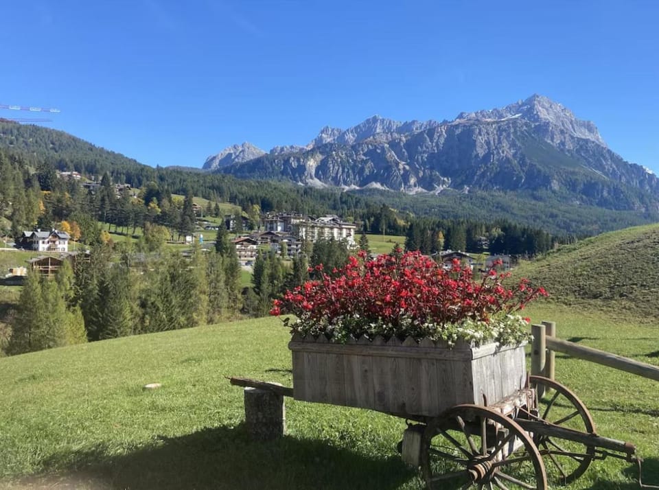Modern Comfort in Cortina Apartment in Cortina d Ampezzo
