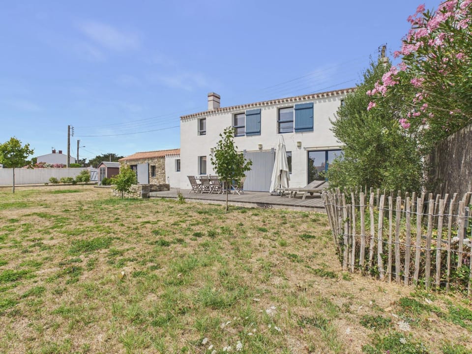 Patio, Garden, Garden view