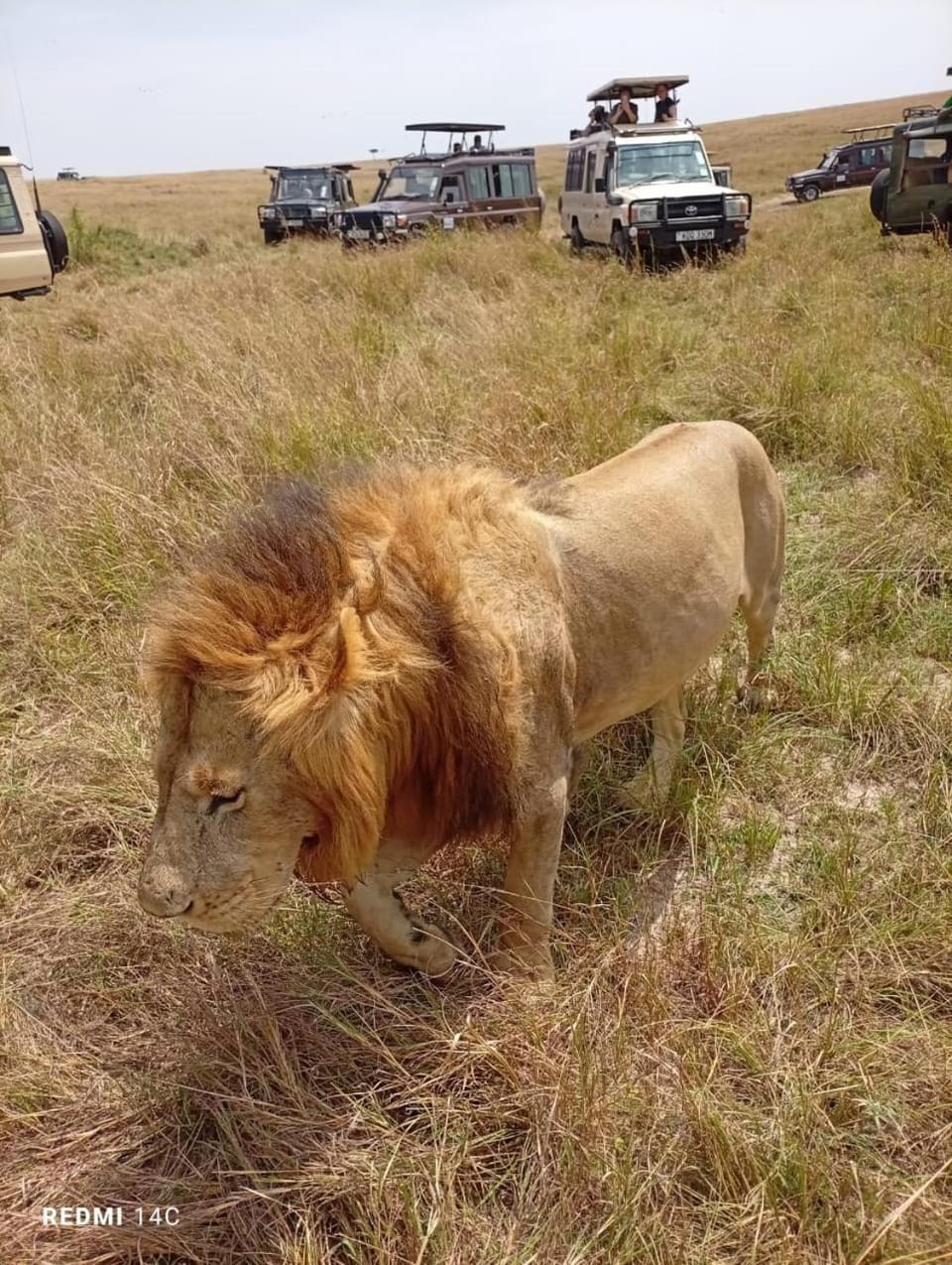 Namelok camp Nature lodge in Kenya