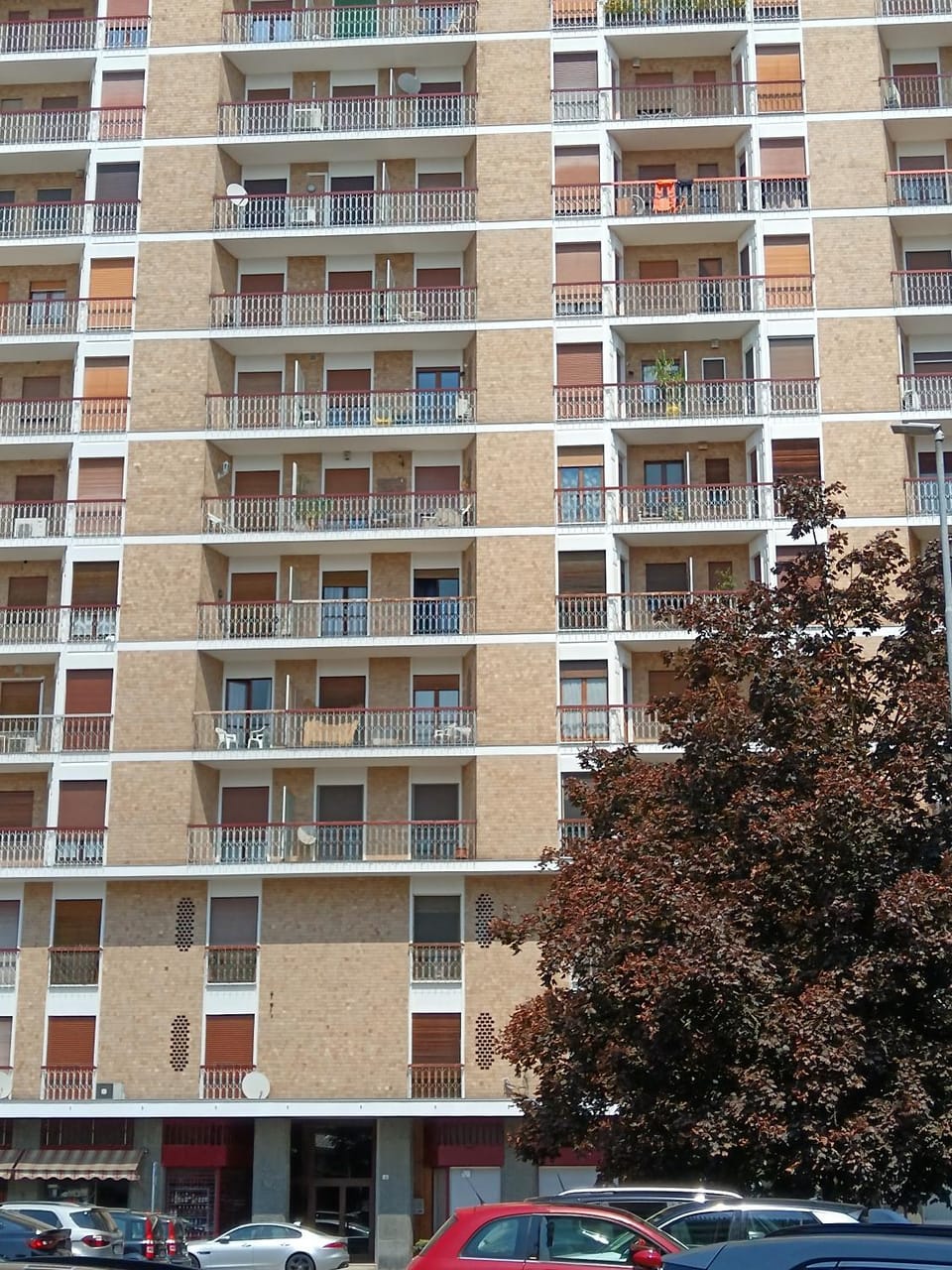 My Star Apartment in Alessandria