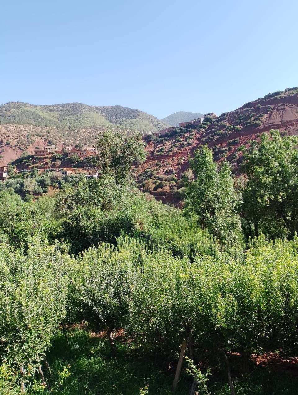 Spring, Day, Natural landscape