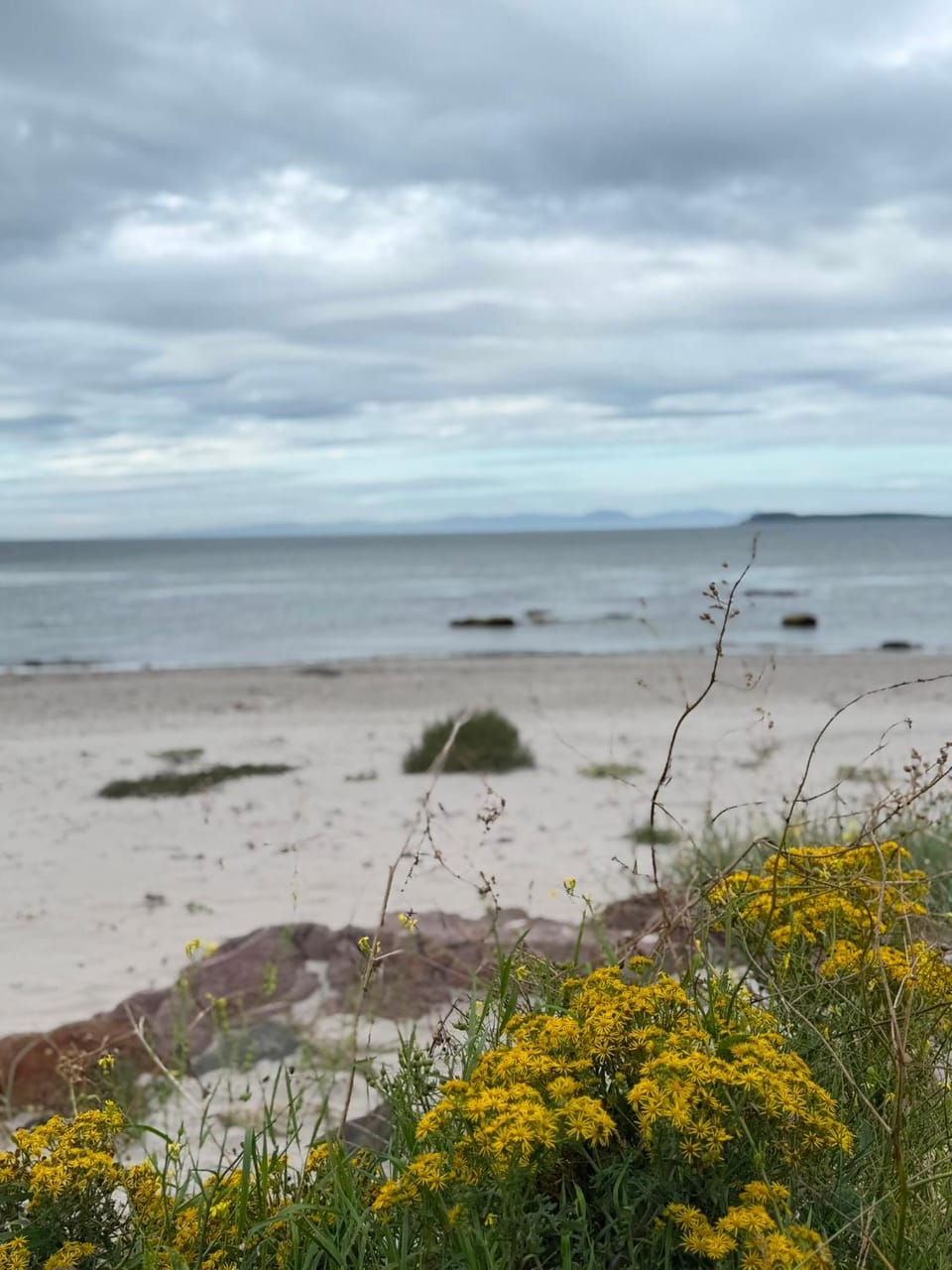 Island View Glamping Pod Campground/ 
RV Resort in Scotland