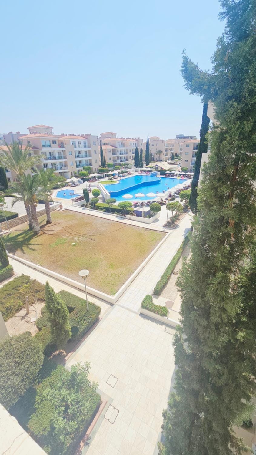 Garden, Pool view, Swimming pool
