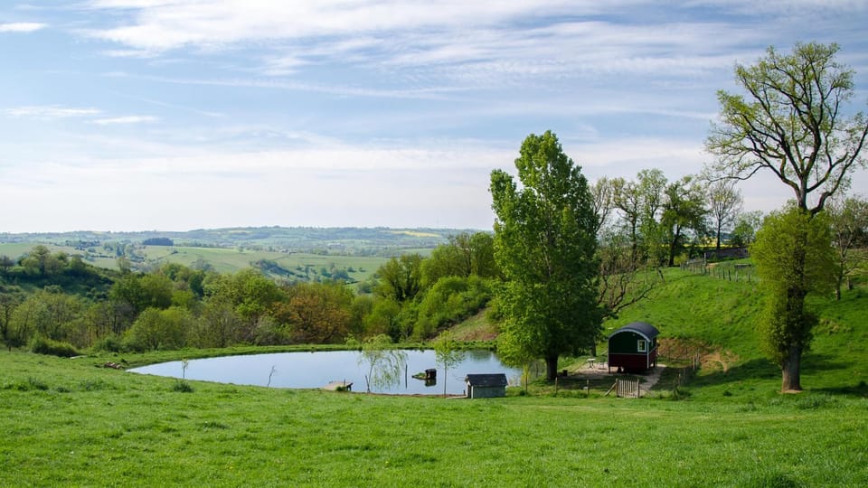 Lake view