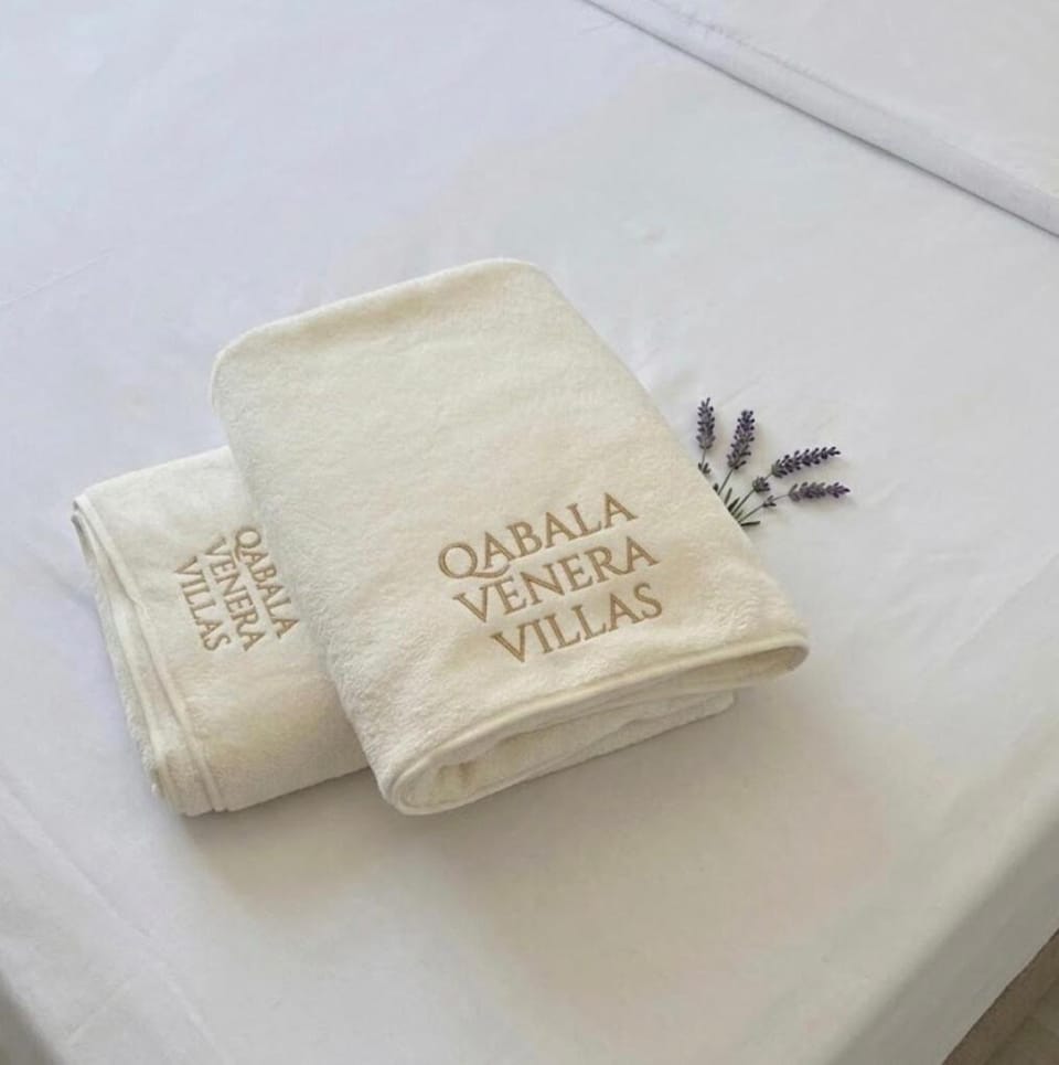 Comfortable vacation home with a pool Villa in Azerbaijan
