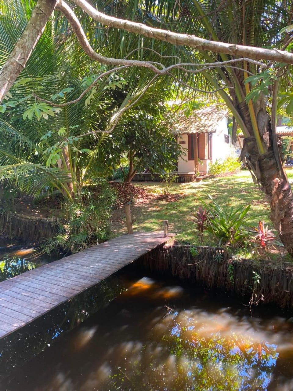 Rainha da Floresta House in State of Bahia
