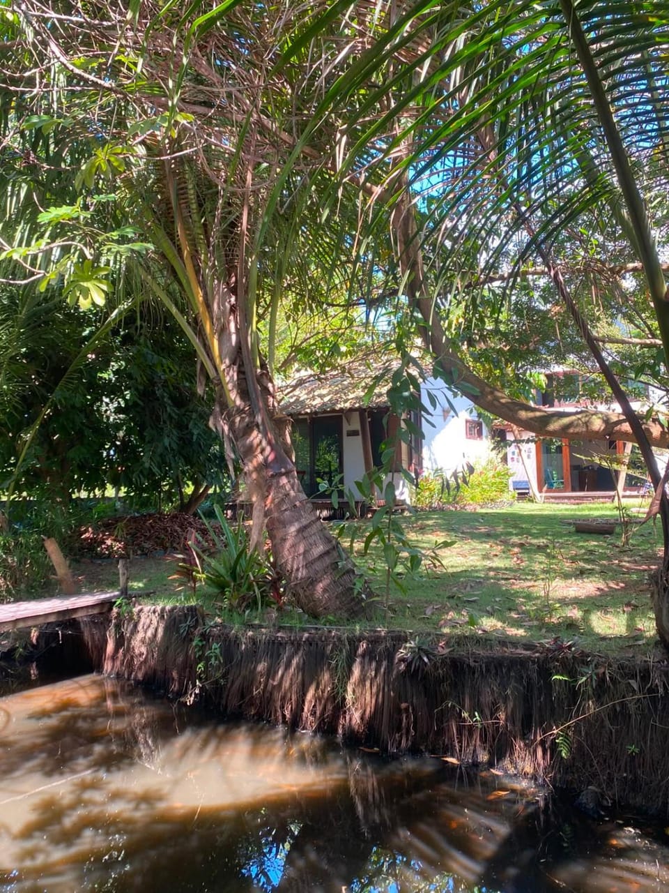 Rainha da Floresta House in State of Bahia