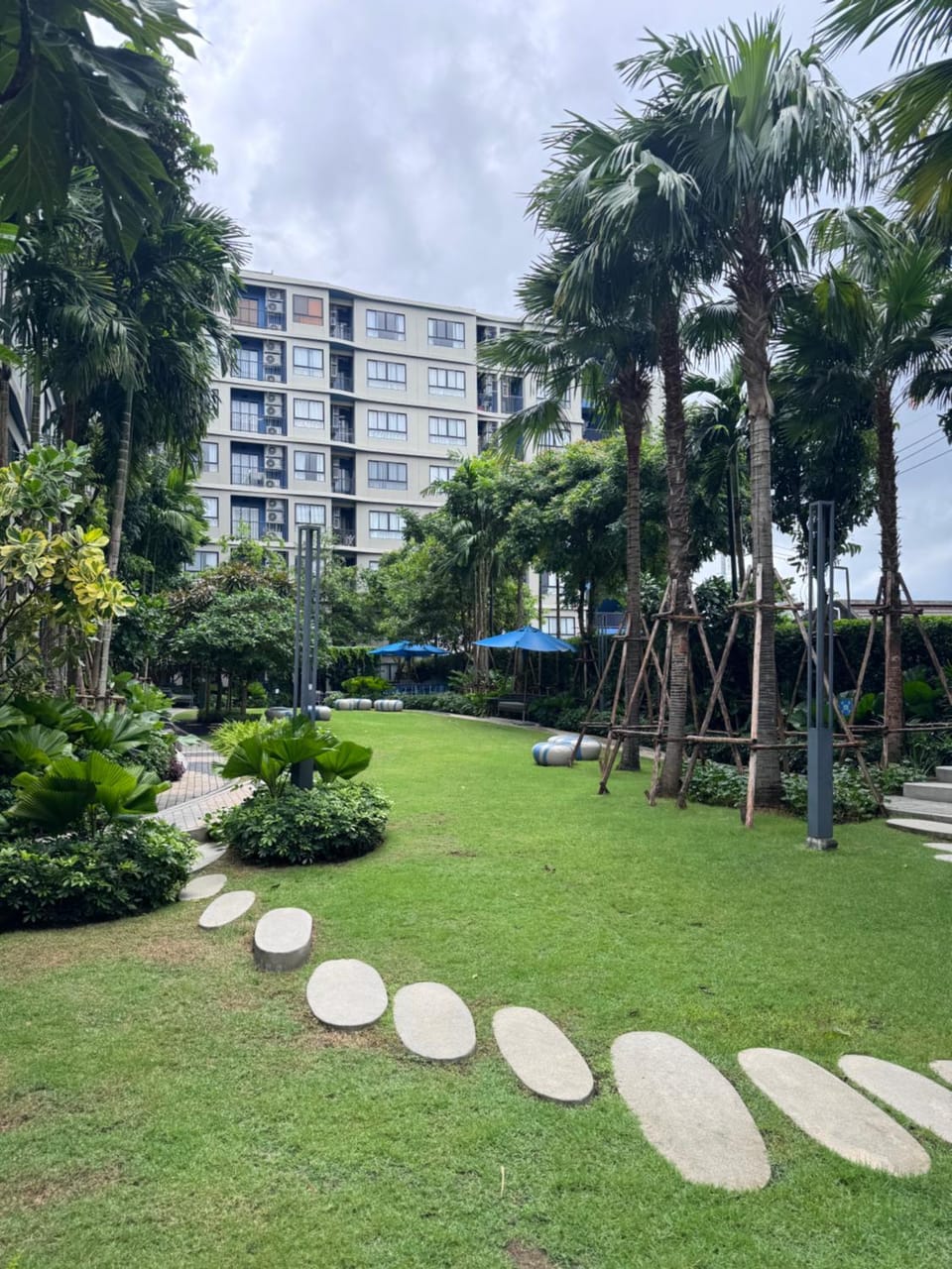 Natural landscape, Garden view